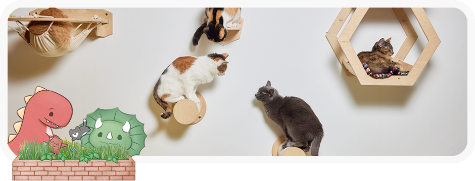 三重新北貓羅紀純貓旅館內部空間，貓咪在牆面跳台與貓屋自在休息，結合可愛恐龍插畫，打造主題貓咪住宿環境