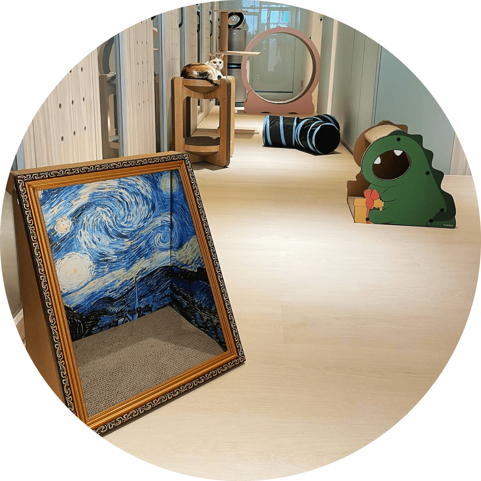 寬敞遊戲區，貓咪可自由奔跑、探索與休憩