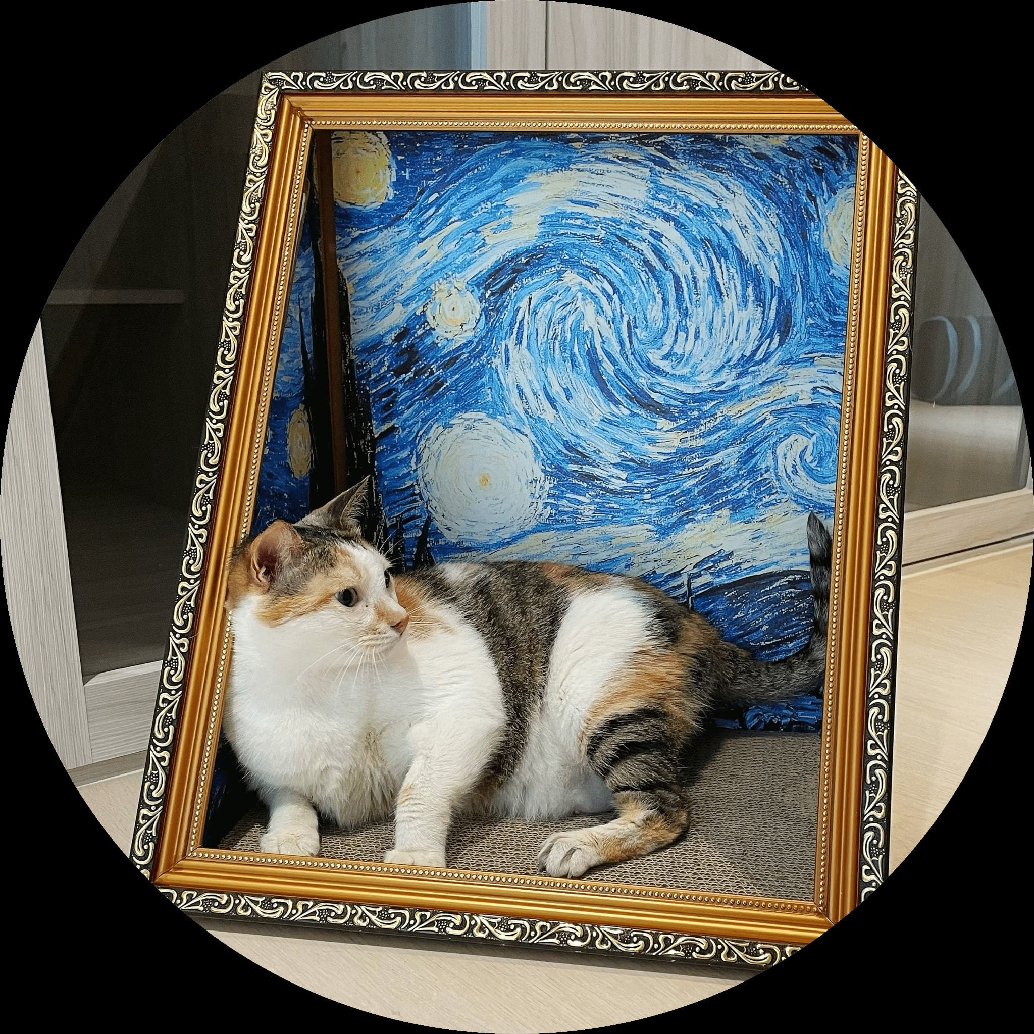 貓咪星空藝術貓抓板,提供多元遊樂空間