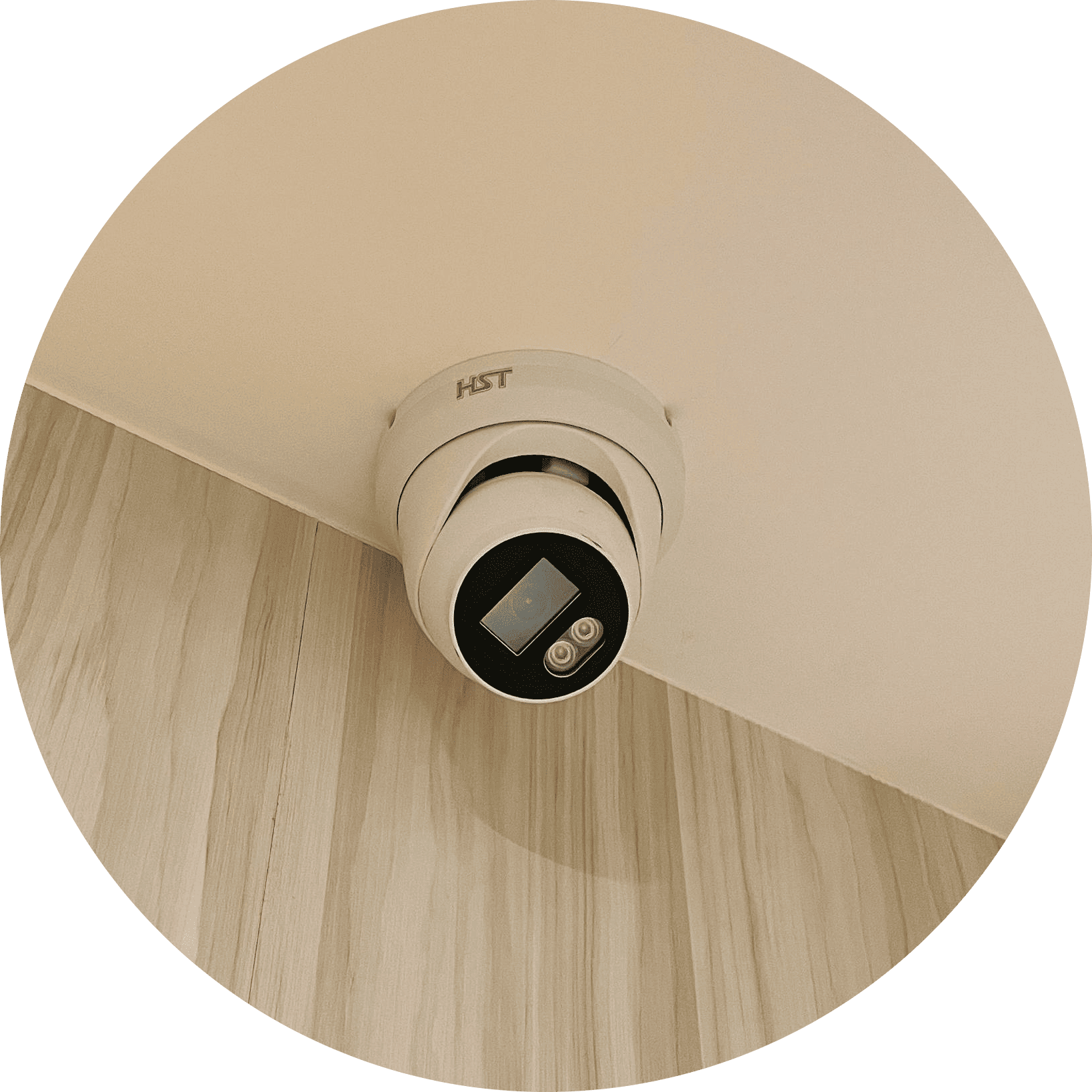 高畫質監視攝影機,全天候守護貓咪住宿環境