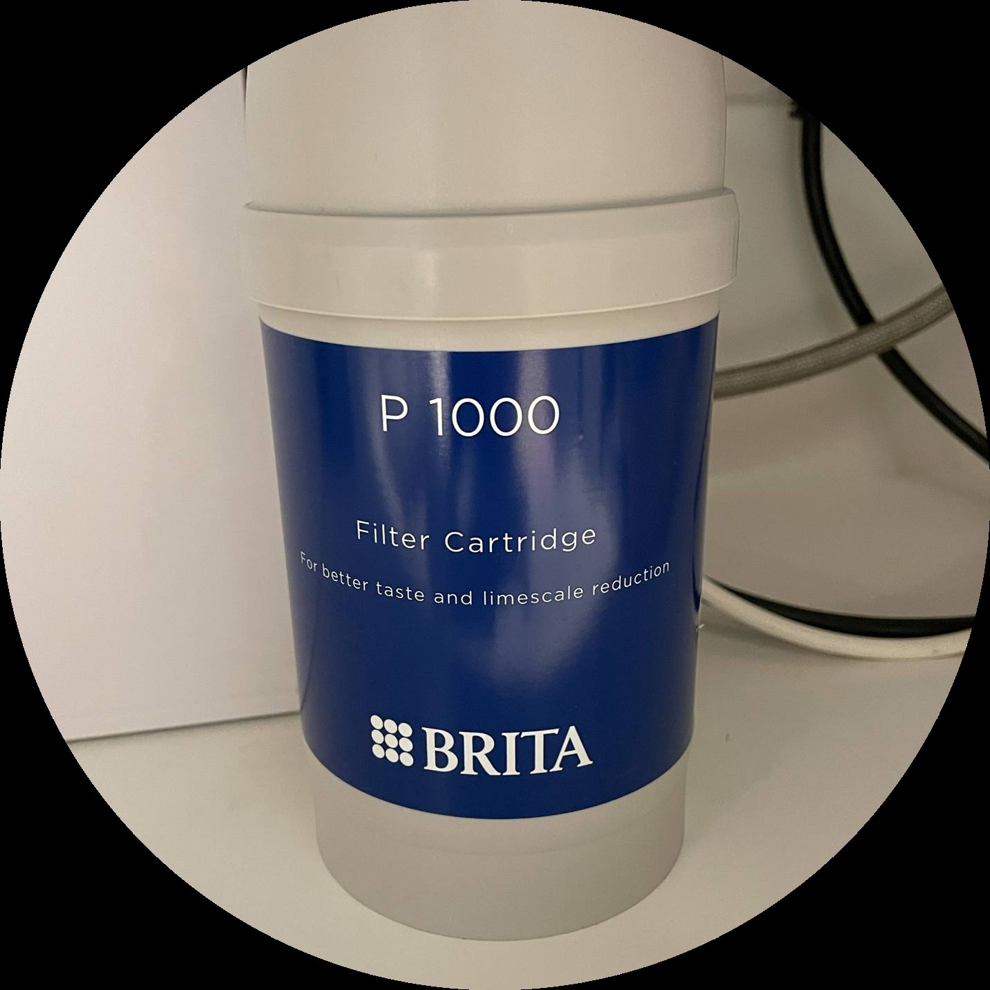 BRITA濾心淨水器，確保貓咪飲水安全純淨