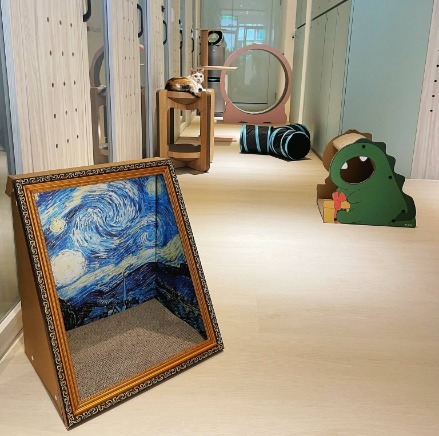 三重貓羅紀純貓旅館內部空間，明亮舒適的貓咪住宿環境，創意貓跳台、藝術抓板、可愛貓屋設計，專業貓保姆細心照護