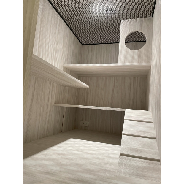 貓羅紀純貓旅館三角龍公寓友善房，設有三層跳台與友善坡道，專為小貓短腿貓設計