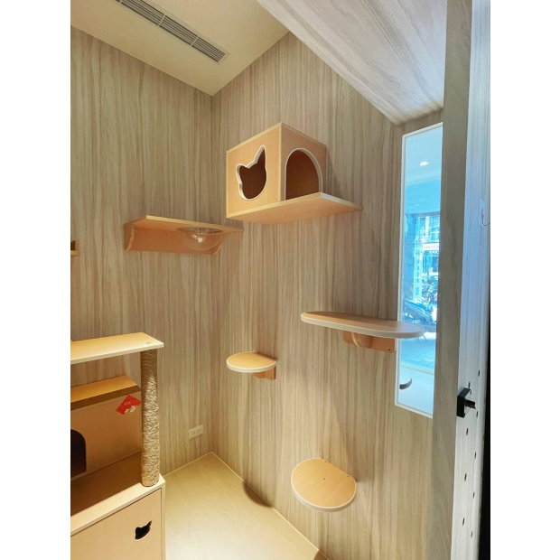 貓羅紀純貓旅館採光家庭房室內設計，牆面設有跳台與貓窩