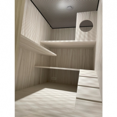 三角龍公寓友善房型內部空間,全木質設計,設有三層跳台與友善坡道,適合小貓及短腿貓入住。 三角龍公寓友善房型內部空間,全木質設計,設有三層跳台與友善坡道,適合小貓及短腿貓入住。