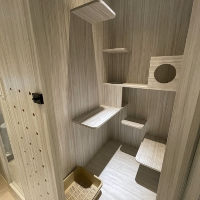 多層跳台與貓砂盆的標準房內部空間 多層跳台與貓砂盆的標準房內部空間