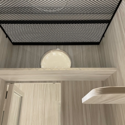 標準房內設閣樓觀景泡泡與上層貓跳台 標準房內設閣樓觀景泡泡與上層貓跳台