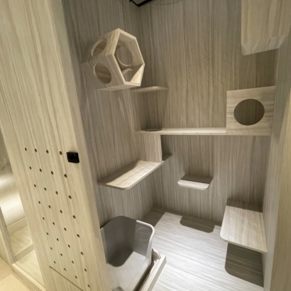 貓羅紀純貓旅館升級房內部空間展示,設有貓砂盆與多種設施 貓羅紀純貓旅館升級房內部空間展示,設有貓砂盆與多種設施