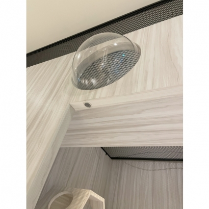 房型上方的觀景泡泡設計,讓貓咪可安全俯瞰外部 房型上方的觀景泡泡設計,讓貓咪可安全俯瞰外部