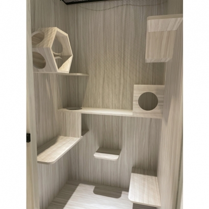 長頸龍豪華別墅升級房全景,內有多層跳台、六角貓窩與觀景泡泡設計 長頸龍豪華別墅升級房全景,內有多層跳台、六角貓窩與觀景泡泡設計