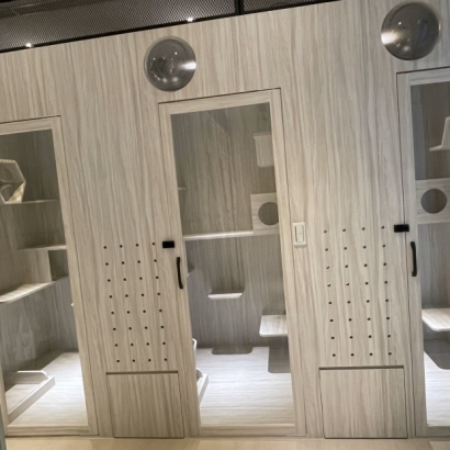 長頸龍豪華別墅升級房外觀,連排多間透明門設計 長頸龍豪華別墅升級房外觀,連排多間透明門設計