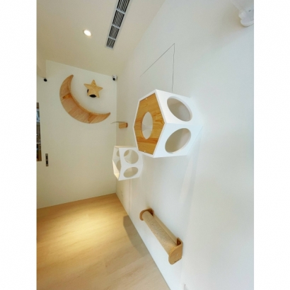 陽光家庭房內部空間與貓咪遊樂設施 陽光家庭房內部空間與貓咪遊樂設施