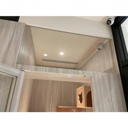 貓羅紀純貓旅館採光家庭房天花板與照明及監視設備 貓羅紀純貓旅館採光家庭房天花板與照明及監視設備