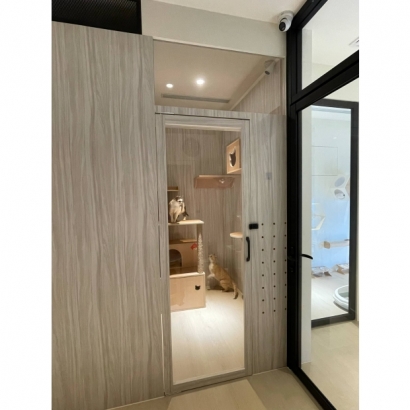 貓羅紀純貓旅館採光家庭房玻璃門外觀,貓咪正在室內活動 貓羅紀純貓旅館採光家庭房玻璃門外觀,貓咪正在室內活動